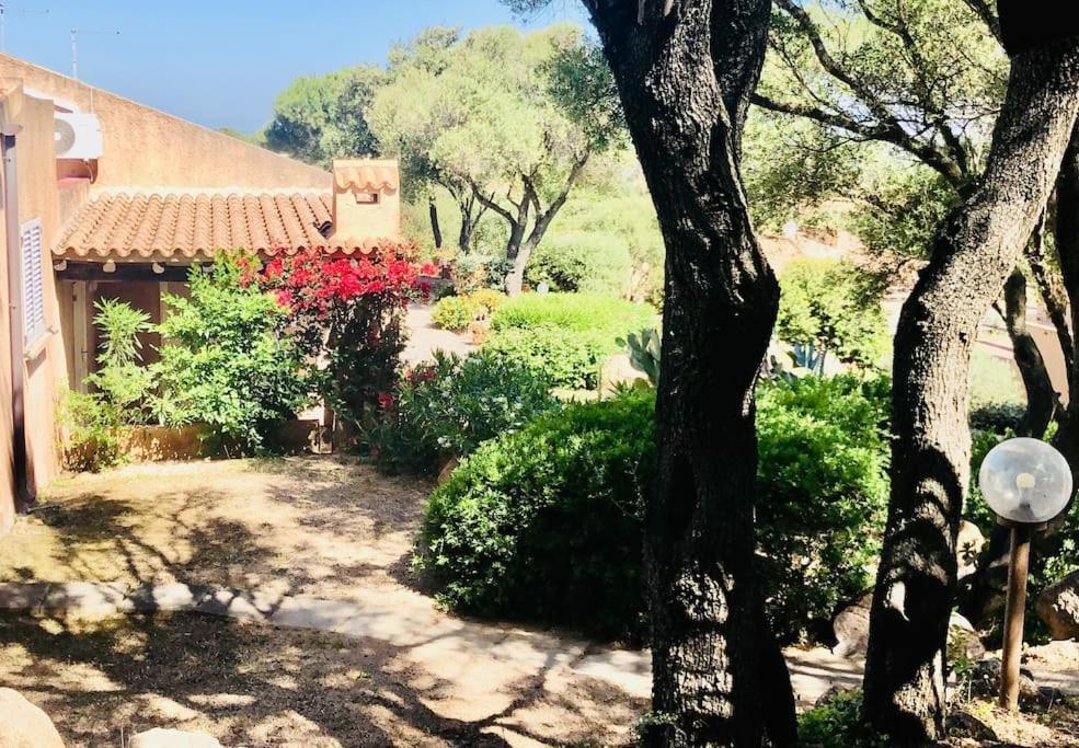 Acqua & Sale Casa Stazzo Holiday home Palau